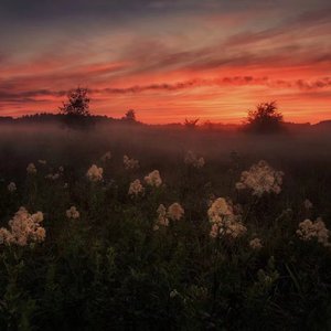 插白丝美女的逼逼
